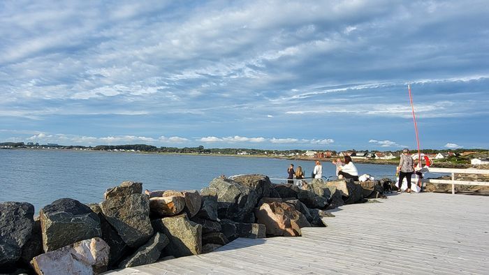 Bästa badbryggan vid piren i Läjet