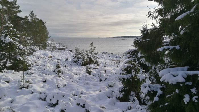 Turhuvudet