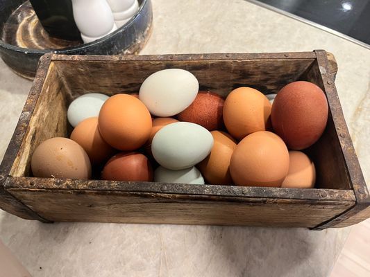 Hus från 1850 med pool och bastu - Bild 21