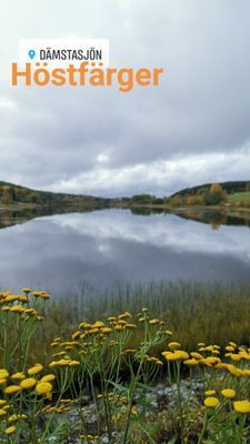 Litet trevligt torp med högt, lugnt & soligt läge - Bild 25