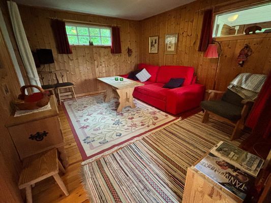 Mysig stuga med storslagen utsikt nära Hamra - Bild 14