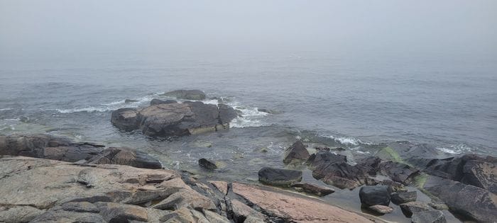 Turhuvudet