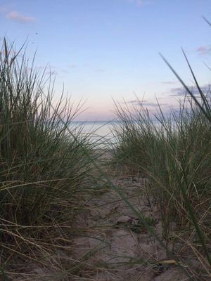 Yngsjö 80 m till havet och Sveriges längsta strand - Bild 13
