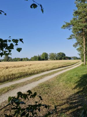 Stuga i När på Gotland - Bild 20