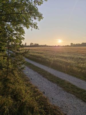 Stuga i När på Gotland - Bild 19