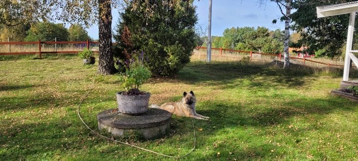 Bild 4 på Året runt stugor på Singö i Roslagen