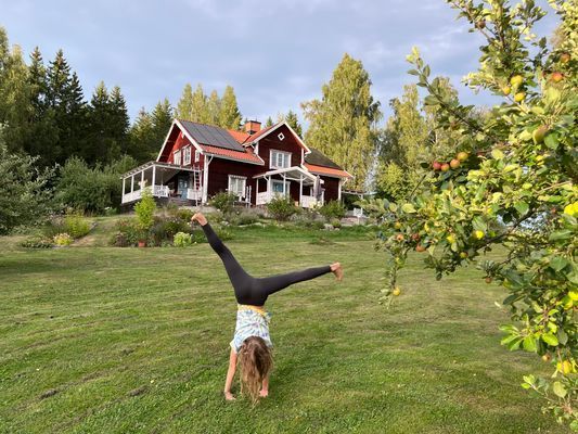 Hus från 1850 med pool och bastu - Bild 28