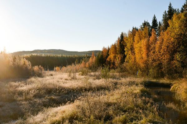 Litet trevligt torp med högt, lugnt & soligt läge - Bild 30
