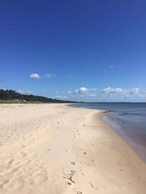 Yngsjö 80 m till havet och Sveriges längsta strand - Bild 10
