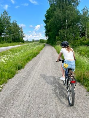 Hus från 1850 med pool och bastu - Bild 26