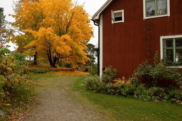 Litet trevligt torp med högt, lugnt & soligt läge