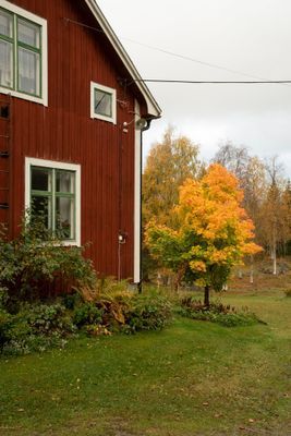 Litet trevligt torp med högt, lugnt & soligt läge