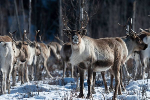 Litet trevligt torp med högt, lugnt & soligt läge - Bild 47