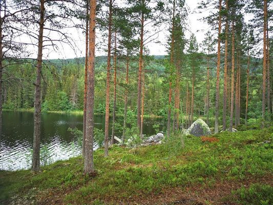 Litet trevligt torp med högt, lugnt & soligt läge - Bild 19