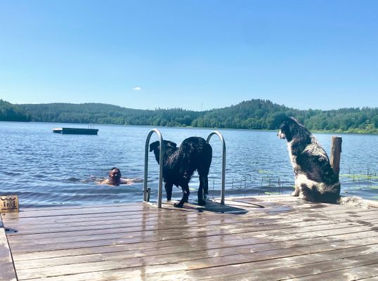 Stuga på vacker bondgård | Öppna vyer & nära sjön - Bild 14