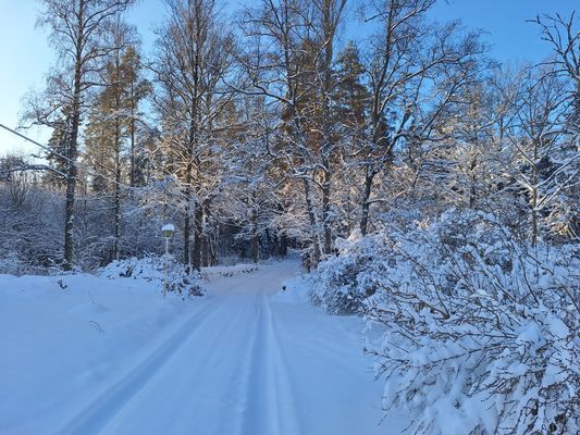 Bild 3 på Bolyckan; småländsk avskildhet när den är som bäst