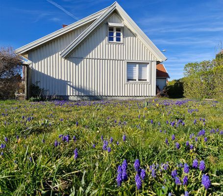 Bild 3 på Havsutsikt och 50m till badstrand