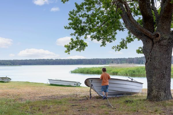 Böda, Byxelkrok, Grankullavik 50m till bad / havet - Bild 21