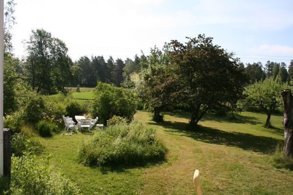 Utsikt från huset mot tomten.