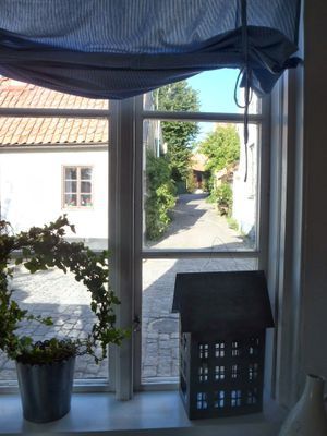 Visby innerstad, Gotland, Hund ok! - Bild 9
