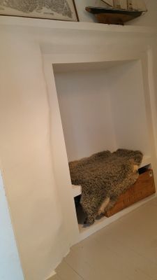 Visby innerstad, Gotland, Hund ok! - Bild 11