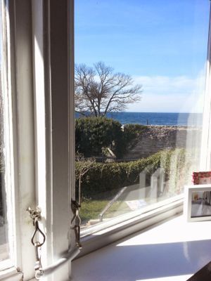 Visby innerstad, Gotland, Hund ok! - Bild 10