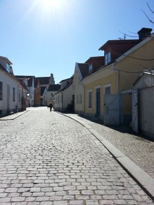 Visby innerstad, Gotland, Hund ok! - Bild 21