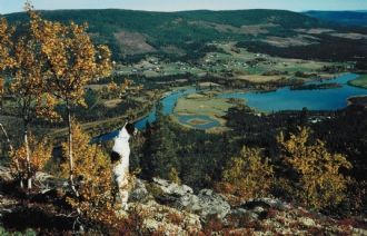 Bild 4 på Per-Albinstorpet (Röda stugan)