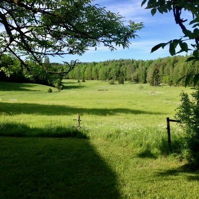 Från dassknuten