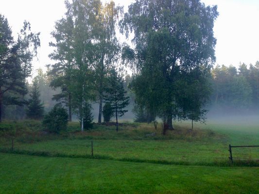 Från köksfönstret
