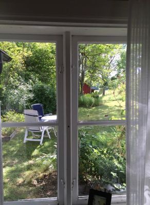 Trädgården från kammarfönstret