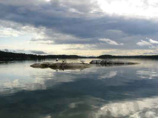 5 min båtresa hit