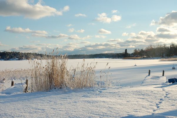 70 meter från stugan