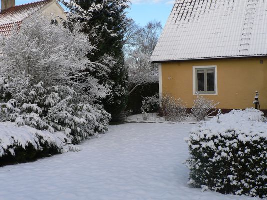 Theas hus på Österlen - Bild 39