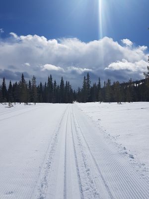 Fin stuga i Fjätervålen, nära Idre - Bild 23
