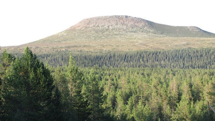 Fin stuga i Fjätervålen, nära Idre - Bild 26