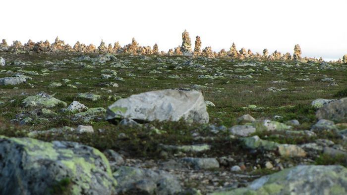 Fin stuga i Fjätervålen, nära Idre - Bild 27
