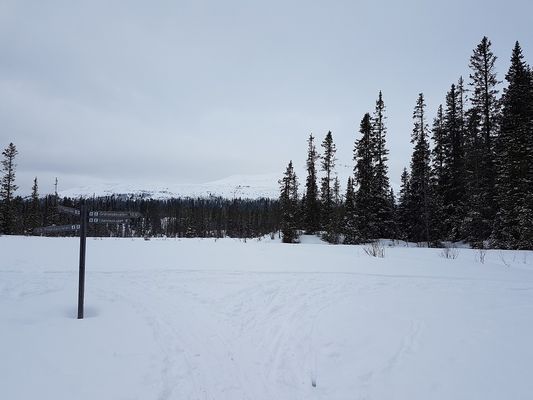 Fin stuga i Fjätervålen, nära Idre - Bild 21