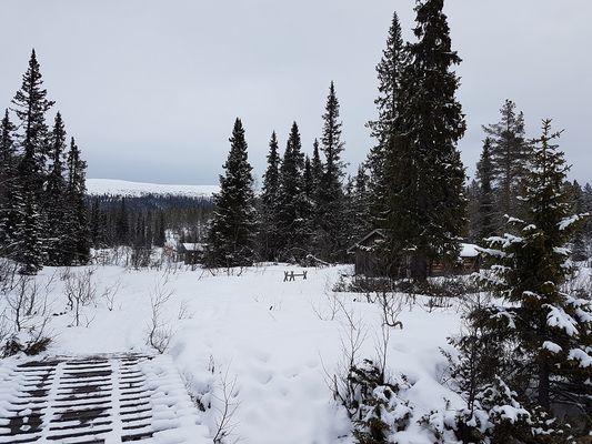 Fin stuga i Fjätervålen, nära Idre - Bild 22