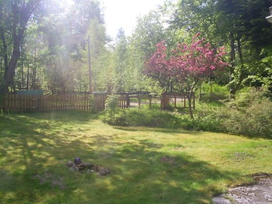 Semesterhus CA. 80 meter från sjön på en halvö - Bild 9