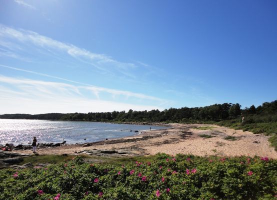 Stuga vid havet - nära golf