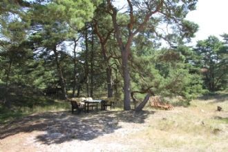 Sandby strand, Mälarhusen vid havet på Österlen - Bild 12