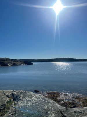Charmigt Torp, avskilt mitt i naturen och nära hav - Bild 27