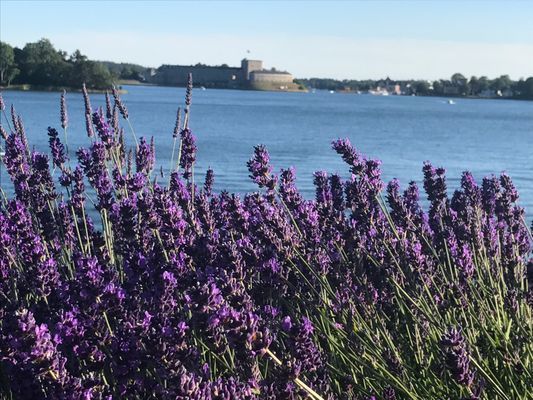 Bild 4 på Fantastisk sjötomt 30 minuter från Stockholm