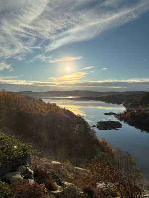 Charmigt Torp, avskilt mitt i naturen och nära hav - Bild 28
