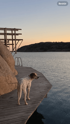 Uthyres stuga Hamburgö på Sveriges västkust - Bild 47