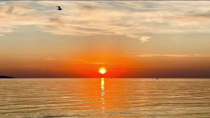 Havsnära hus "Lilla Grå"  Skälderviken, Ängelholm. - Bild 54