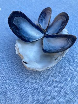 Uthyres stuga Hamburgö på Sveriges västkust - Bild 40