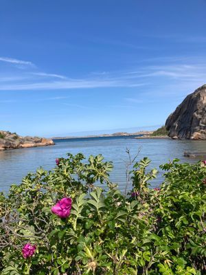 Uthyres stuga Hamburgö på Sveriges västkust - Bild 43