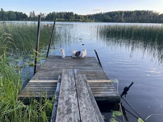 Bild 3 på Idylliskt lantställe vid en sjö